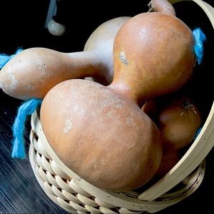 birdhouse gourds